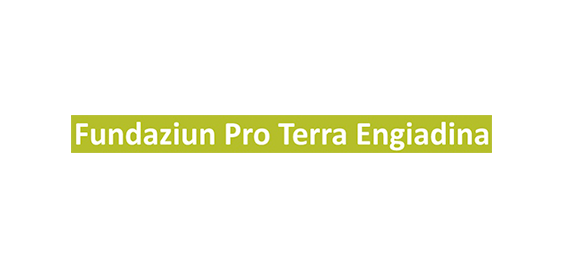 Logo Fundaziun Pro Terra Engiadina