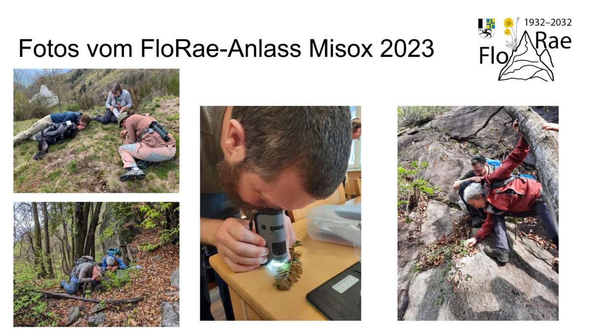 Impressionen vom Kartierwochenende Misox 2023