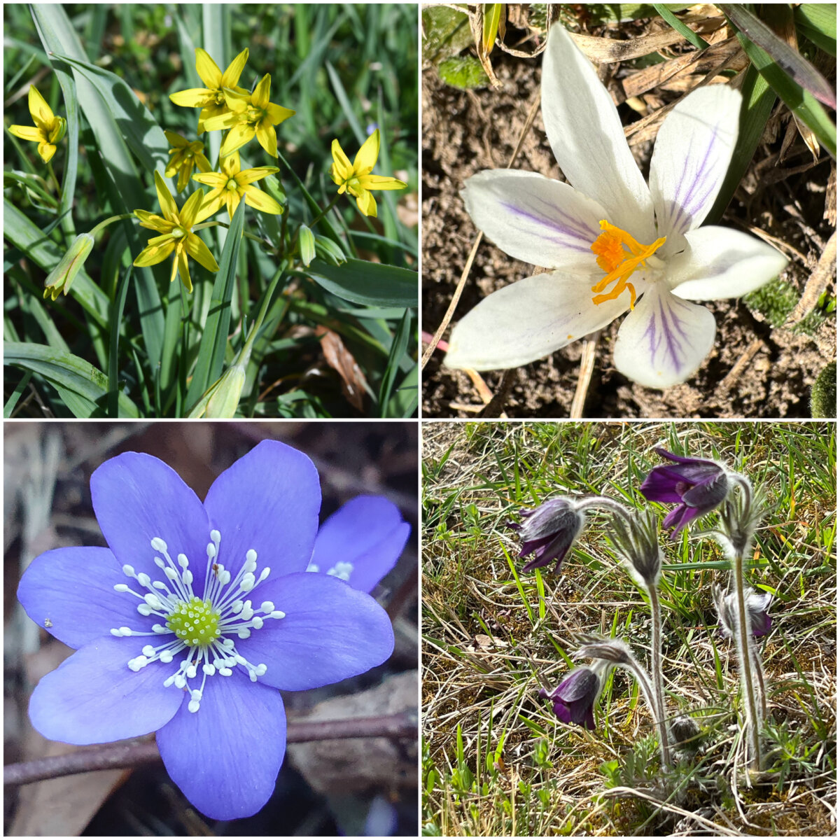 Frühling